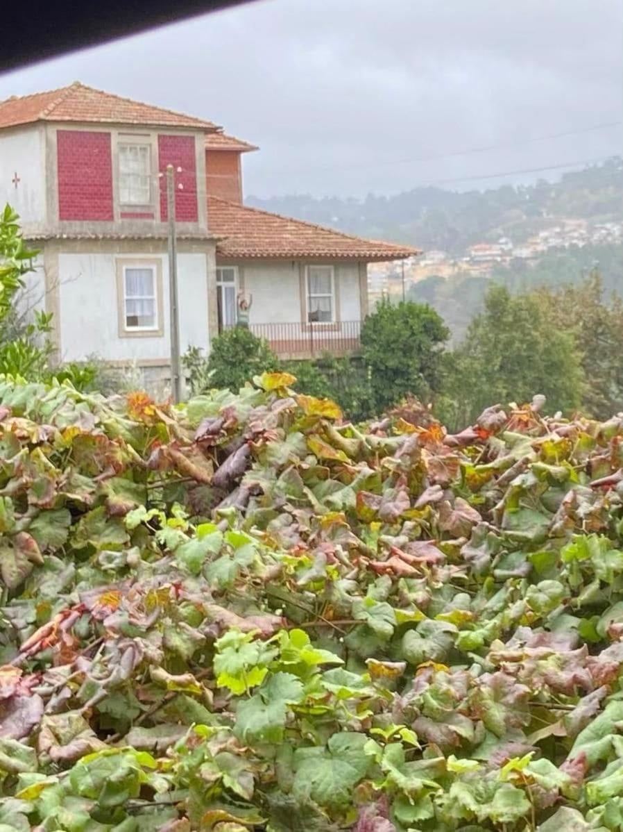 Quinta Da Chentuada Villa Amarante Kültér fotó
